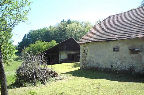 Усадьба, хозяйство Тополы, Текачево.: 11