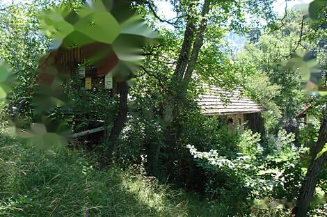 Дом и фермерское хозяйство Преболд: 5