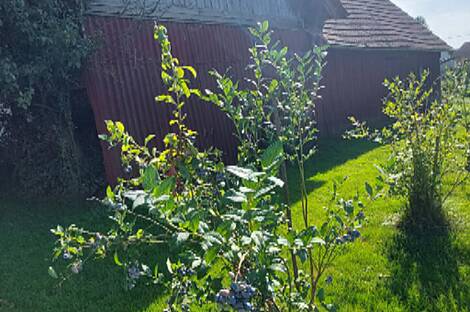 Центральный дом в Вержее: 20