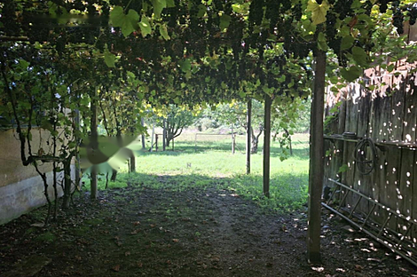 Дом в Неделице: 3