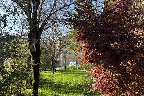 Дом, Виница: 13