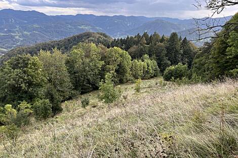 Жилище на Святой Планине 33: 6