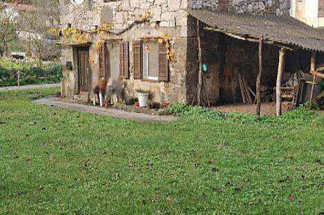 Дом в Гргаре: 3