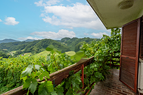 Дом, Майшперк: 2