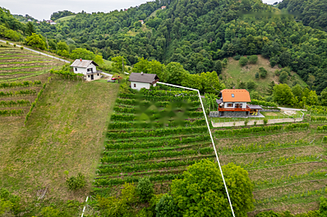 Дом, Майшперк: 5