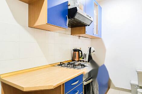 Дом под офис, Шишка: 7