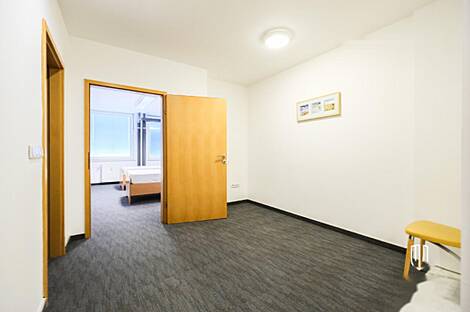 Дом под офис, Шишка: 10