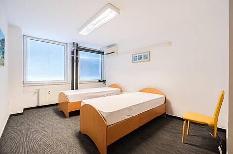 Дом под офис, Шишка: 11