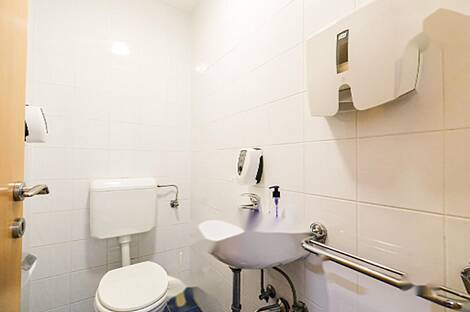 Дом под офис, Шишка: 12