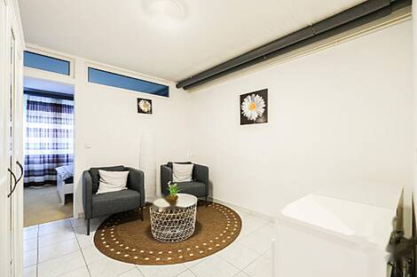 Дом под офис, Шишка: 14