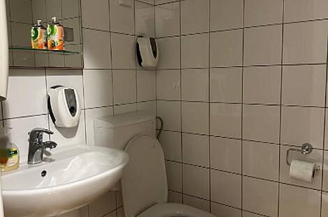 Дом под офис, Шишка: 23