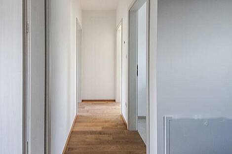 Жилище на Рожной Долине: 11