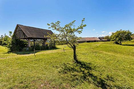 Резиденция, фермерское хозяйство Сеново, Доброва.: 22