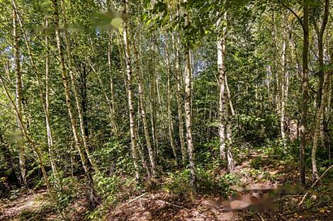 Резиденция, фермерское хозяйство Сеново, Доброва.: 27