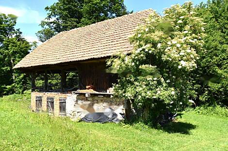 Дом, ферма Горная Вершина, Шентюр, Планина при Севници.: 16