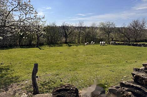 Дом в Березовице у Града: 2