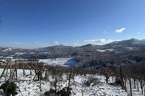 Дом на Врховска Вас: 8