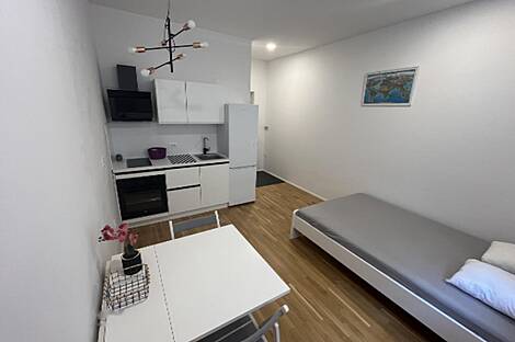 Апартаменты в центре Любляны: 1