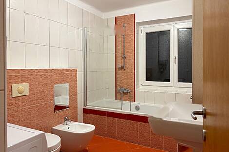 Трёхкомнатные апартаменты Шишка: 7