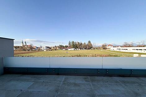 Поле: квартира с четырьмя комнатами: 11