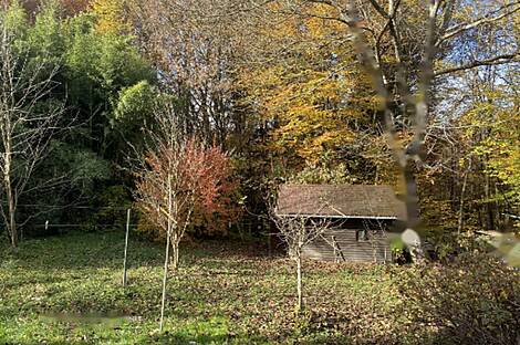 Дом в Плинтовеце: 7