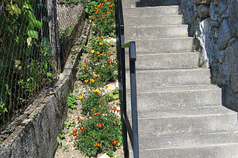 Дом, Завода, Дрожащая.: 4