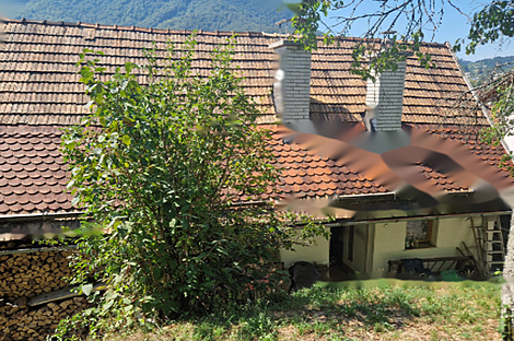 Дом, Завода, Дрожащая.: 17