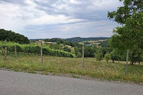 Видонци, дом: 11