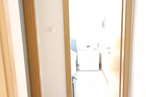 Трёхкомнатная квартира Сечовле: 9