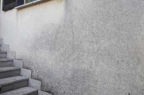 Квартира с четырьмя комнатами, Побеги.: 2