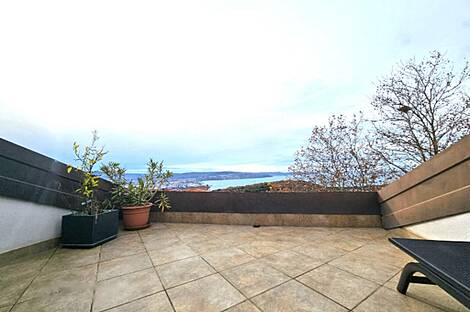 Дом с пятью или более комнатами: 20