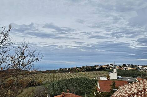 Дом с пятью или более комнатами: 21