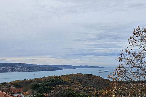 Дом с пятью или более комнатами: 23