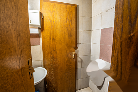 Торговое пространство в Моще: 10