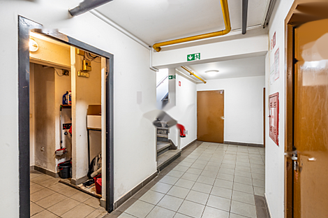 Торговое пространство в Моще: 13