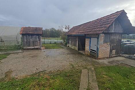 Дом, Велико Мрашево: 18