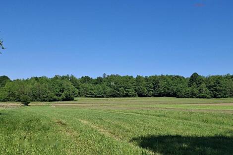 В Доленьих Сухорах возле Виницы находится дом.: 6