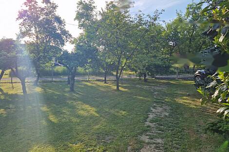 Дом в деревне Доманшевцы: 5