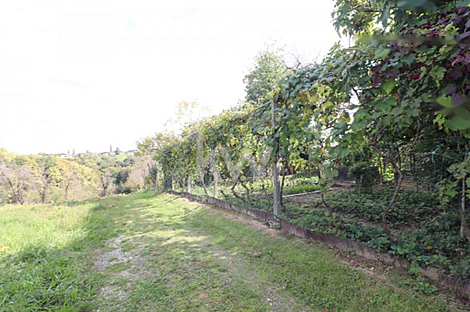 Грабшинцы, дом: 25