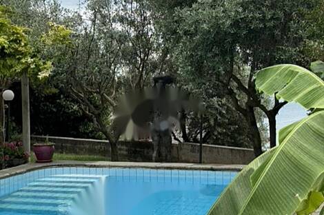 Дом, Порторож: 15