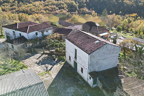 Загородный дом, хозяйство Козловичей.: 1