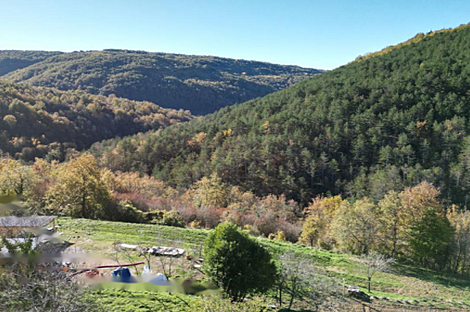 Загородный дом, хозяйство Козловичей.: 6