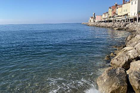 Трёхкомнатная квартира в Пиране: 1