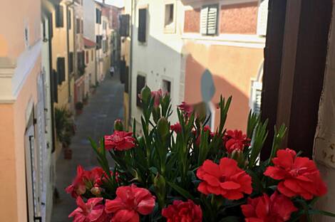 Квартира с четырьмя комнатами в Изоле.: 1