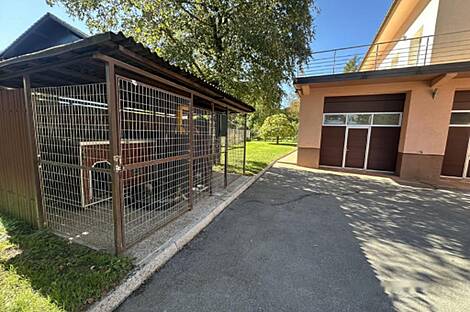 Хижина, Ежица: 13