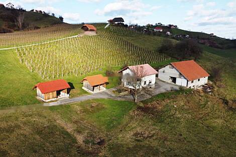 Поместье 'Крестьянская деревня': 28