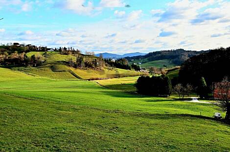 Поместье 'Крестьянская деревня': 29