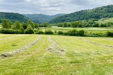 Имение, сельское хозяйство Подсреда, Козье.: 22