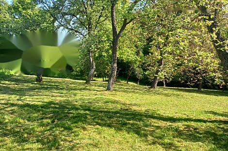 Дом, Мо́щанцы: 3