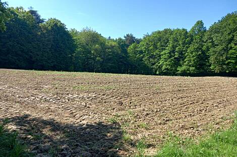 Дом, Мо́щанцы: 7